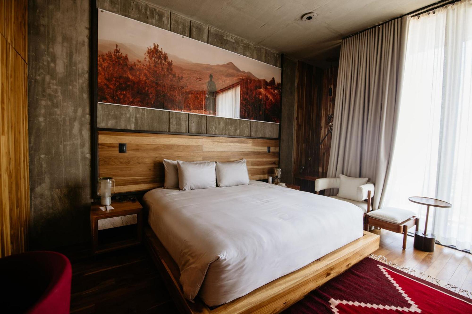 Flavia Hotel Oaxaca Номер фото